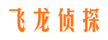 滨湖私家侦探